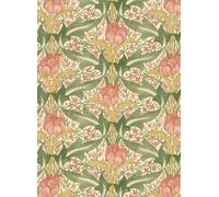 GP & J Baker Carta da parati Tulip & Jasmine - Blush