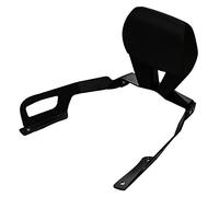 GP Kompozit Per Schienale Sissy Bar compatibile Forza 250 2021-2022