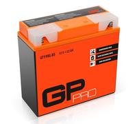 GP-PRO GTZ14S - Batteria al gel 12V, 22Ah (compatibile con YTZ14-S / 51101) (non richiede manutenzione e sigillata)