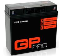 GP-PRO GTZ14S - Batteria al gel 12V, 22Ah (compatibile con YTZ14-S / 51101) (non richiede manutenzione e sigillata)