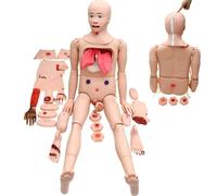 GPDNBIEU, 24 moduli della ferita Modello anatomico umano Dimostrazione avanzata del trauma for gli uomini