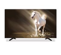 GPDNBIEU, 32-80 pollici protezione schermo TV for interni copertura for LCD LED opere d'arte europea decorazione del soggiorno for la casa appesa desktop curvo universale(C,49 52IN)