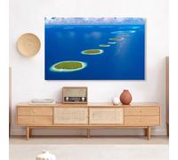 GPDNBIEU, Copertura TV universale colorata Protezione antipolvere for schermo for LED LCD, modello di pittura for interni camera da letto soggiorno Decor for televisori, Colore:C(A,70in(160x96cm))