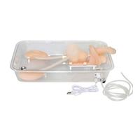 GPDNBIEU, Modello di formazione for simulazione ureteroscopia rene in silicone for infermiere, pratica for studenti medicina