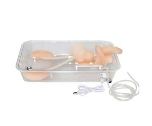 GPDNBIEU, Modello di formazione for simulazione ureteroscopia rene in silicone for infermiere, pratica for studenti medicina
