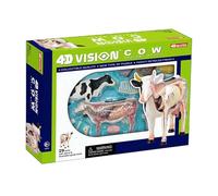 GPDNBIEU, Modello di mucca con visione 4D, modello anatomia dell'organo staccabile in 29 parti, del giocattolo assemblaggio intelligenza