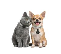 GPS per Cani, Collare GPS Gatto con Tracciamento in Tempo Reale, Localizzatori GPS per Cani Compatibile con iOS e Android, Nessun Abbonamento, Posizionamento Globale Impermeabile IPX6 - Grigio