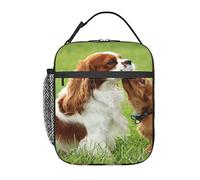 GQWJKSZ Borsa per il pranzo Cavalier King Charles Spaniel,