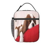GQWJKSZ Borsa per il pranzo Cavalier King Charles Spaniel,