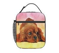 GQWJKSZ Borsa per il pranzo Cavalier King Charles Spaniel,