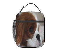 GQWJKSZ Borsa per il pranzo Cavalier King Charles Spaniel Animali domestici Cuccioli di cane,