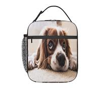 GQWJKSZ Borsa per il pranzo Cavalier King Charles Spaniel Cani carini Animali domestici,