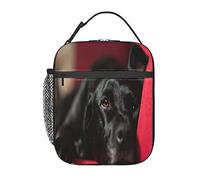 GQWJKSZ Borsa per il pranzo con cani neri Labrador Retriever Animali Bokeh neri,