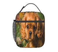 GQWJKSZ Borsa per il pranzo con cani ricci marroni Cavalier King Charles Spaniel,