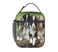 GQWJKSZ Borsa per il pranzo in quartetto di cuccioli di pastore australiano,