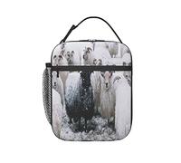 GQWJKSZ Pecore islandesi che vagano per i campi innevati invernali oltre la scatola per il pranzo isolata, borsa per il pranzo borsa riutilizzabile per il pranzo Bento Tote Bag