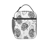 GQWJKSZ Scatola per il pranzo isolata con patatine fritte vintage, borsa per il pranzo Borsa per il pranzo riutilizzabile per Bento