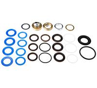 Graco Kit riparazione Ultra Max & Ultimate MX 1595, Ultra Max II & Ultimate MX II 1095, 1595, Gmax 5900/10000, Gmax II 5900/5900 HD, linelazer 5900, Mark V