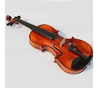 Grado Di Esame Di Violino Suonare Il Violino violino principianti