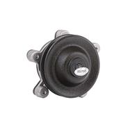 GRAF Pompa Acqua FORD,SAAB PA036 5005036,603089,6036362 A790X8591DAA,EPW538,5005036,6036362