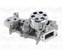 Pompa Dell’acqua Raffreddamento Motore Graf PA1075 per Renault