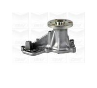 POMPA ACQUA DISTRIBUZIONE AUTO GRAF METELLI PA1092