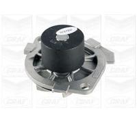 GRAF PA615 Pompa acqua