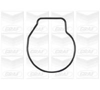 Graf PA668 Pompa Acqua