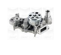 Graf Pompa acqua PA981 - Raffreddamento motore - per Renault Clio III 1.2 43 kW / Nissan - Nuova