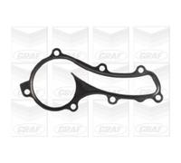 GRAF Pompa Acqua Meccanico per Nissan Almera Tino V10 N16 Primera Traveller