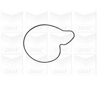 Graf Pompa acqua motore PA1050 per Audi A4 A5 A6 A8 Q5