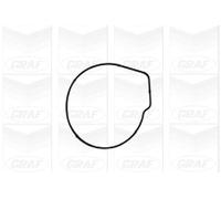 Pompa acqua meccanico PA1051 GRAF per VW AUDI SEAT SKODA