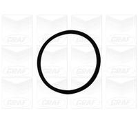 GRAF Pompa acqua PA1060 meccanica con guarnizione cinghia Poly-V ottone