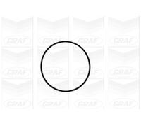 GRAF Pompa acqua PA1061 meccanica cinghia dentata ottone