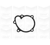 Pompa Dell’acqua Raffreddamento Motore Graf PA1077 per Opel Vauxhall