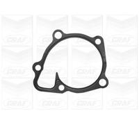GRAF Pompa acqua PA1082 meccanica con guarnizione cinghia Poly-V ghisa