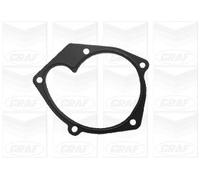 Pompa Dell’acqua Raffreddamento Motore Graf PA1087 per Mitsubishi Nissan Opel