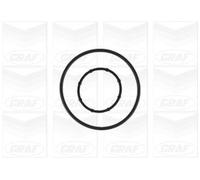 GRAF Pompa acqua PA1177 meccanica cinghia Poly-V lamiera d'acciaio