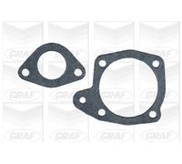 GRAF Pompa acqua PA372 meccanica con guarnizione cinghia Poly-V ghisa
