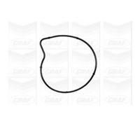 GRAF Pompa Acqua per Mercedes-Benz Classe B Mitsubishi COLT VI Forfour