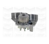 GRAF Pompa Dell'Acqua Per Fiat Scudo Combinato Ulysse Citroën Berlingo Jumpy