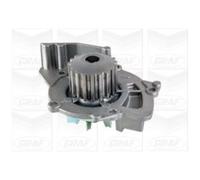 GRAF Pompa Dell'Acqua Per Ford Kuga I Focus II Turnier Citroën Jumpy C4 Picasso