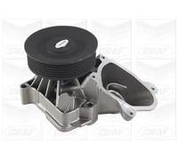 GRAF PA965 Pompa acqua