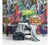 Graffiti Murale Spray Arte Holden 99381 Pattinatrice Ragazzi Sala Camera 2.1m X