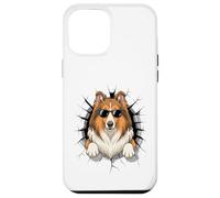 Graffiti Wall Art Collie Sunglasses Collies Custodia per iPhone 12 Pro Max