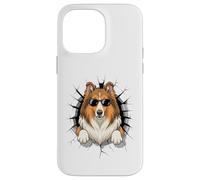 Graffiti Wall Art Collie Sunglasses Collies Custodia per iPhone 14 Pro Max