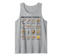 Grafico dei fossili mesozoici Paleontologia Amanti della Scienza Canotta