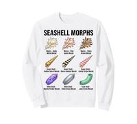 Grafico dei Morph delle Conchiglie, Tipi di Conchiglie, Specie di Conchiglie Felpa