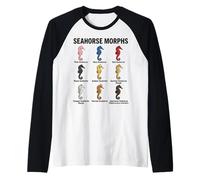 Grafico Morphs Cavalluccio Marino, Variazioni di Colore, Tipi di Cavalluccio Marino Maglia con Maniche Raglan