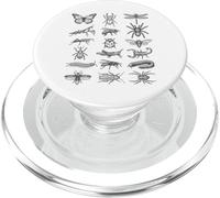 Grafico scientifico della storia naturale delle specie di bug di entomologia PopSockets PopGrip per MagSafe